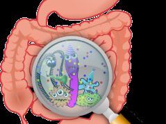 anatomy, bacteria, bacterium