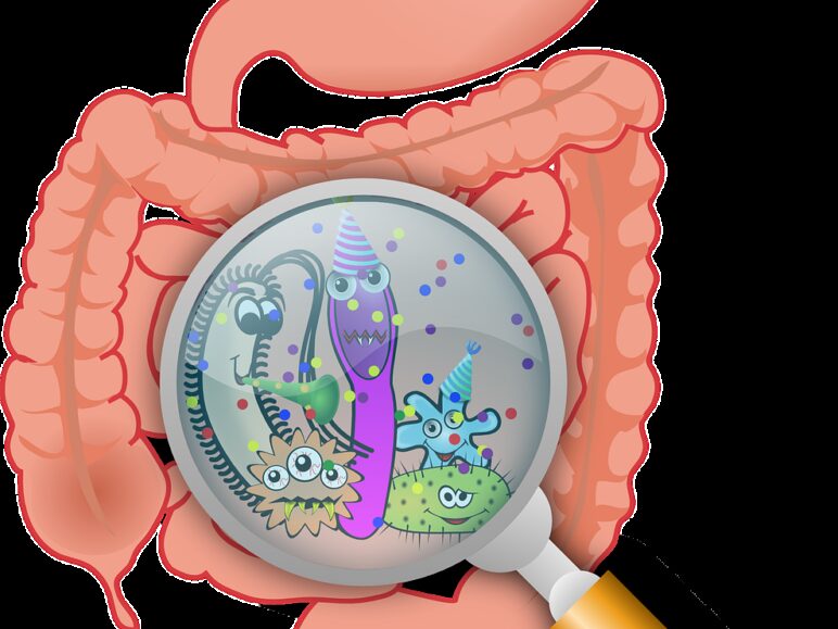 anatomy, bacteria, bacterium
