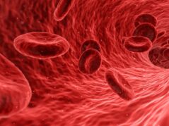 blood, cells, red