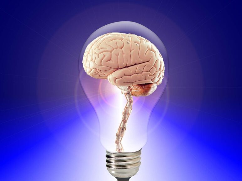 brain, think, human