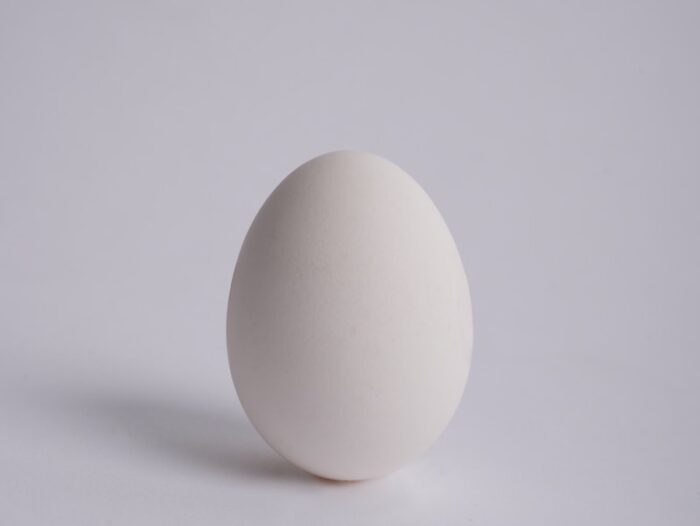 2 white eggs on white surface