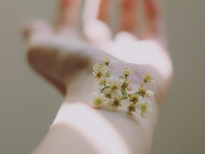 selective focus photography of white clustered flowers on left human hand